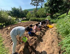 [갈현초]햇살 가득 여름날, 갈현초등학교 텃밭에 수확의 기쁨 가득!