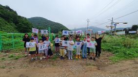 2025.0６.２７ 학교텃밭 감자캐기활동