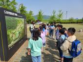 4학년 어서와 평화놀이터-도라산전망대(파주 미래교육협력지구 프로그램)