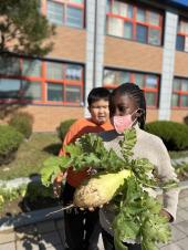 학교 텃밭 무수확하기