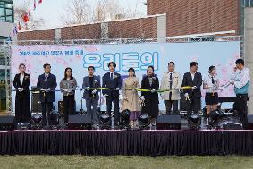 2025 제4회 벚꽃축제