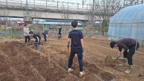 학교 안 텃밭 노작활동