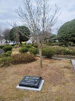 신산초등학교 개교 100주년 기념목 식재
